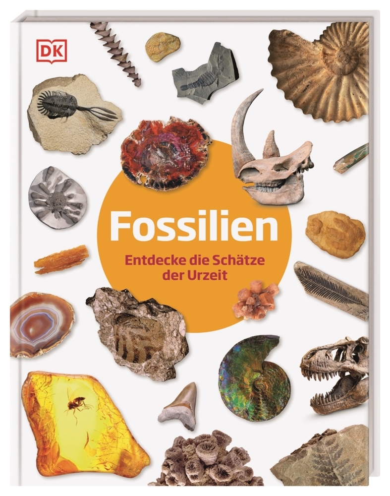 Fossilien main product photo
