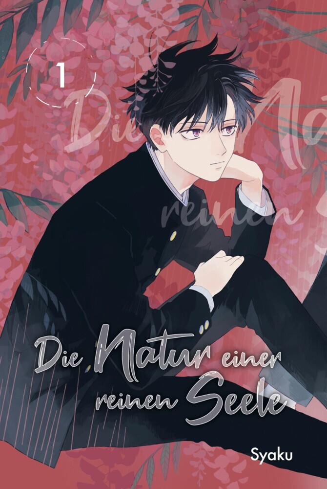 Die Natur einer reinen Seele 01 main product photo