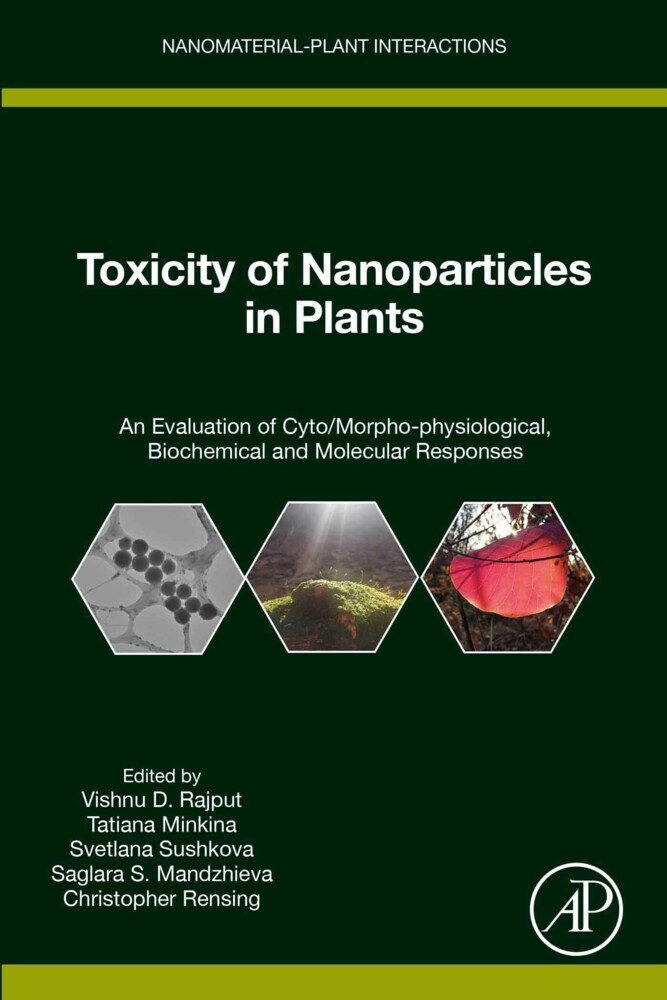 Toxicity of Nanoparticles in Plants main product photo