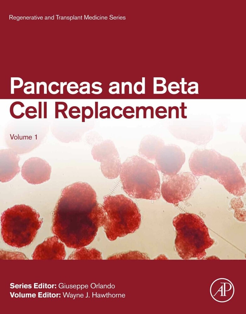 Pancreas and Beta Cell Replacement main product photo