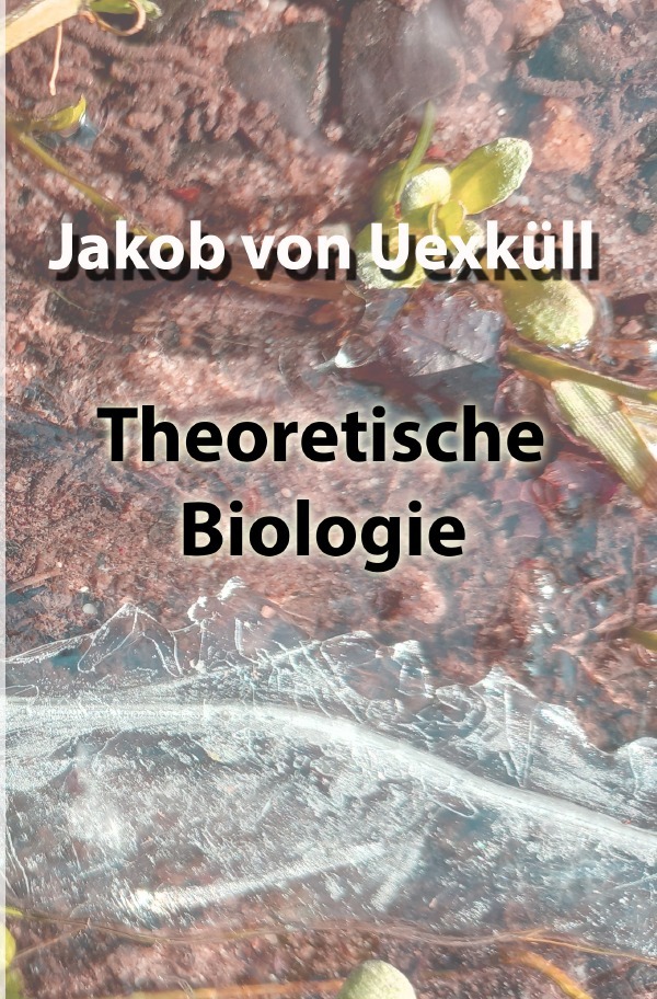 9783754973844