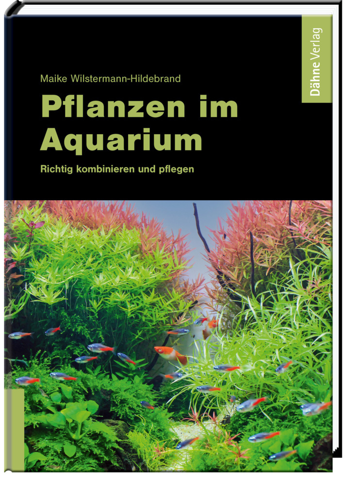 Pflanzen im Aquarium main product photo