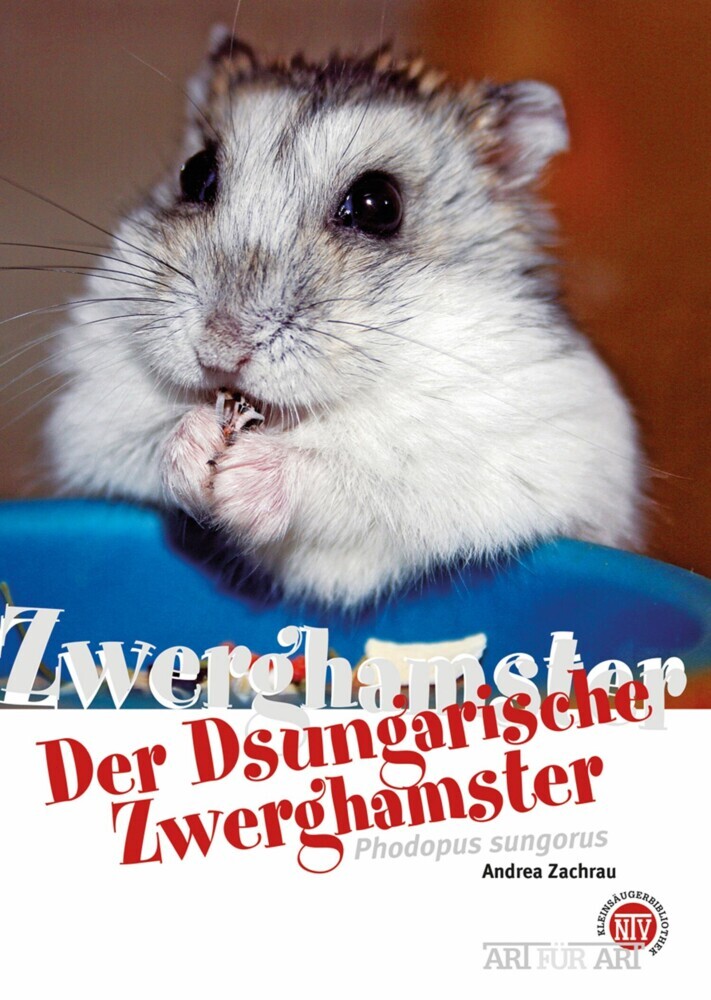 Der Dsungarische Zwerghamster main product photo