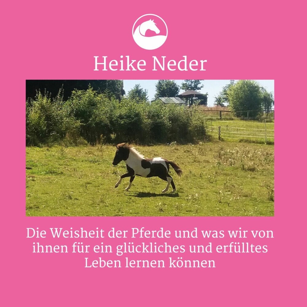 Die Weisheit der Pferde main product photo