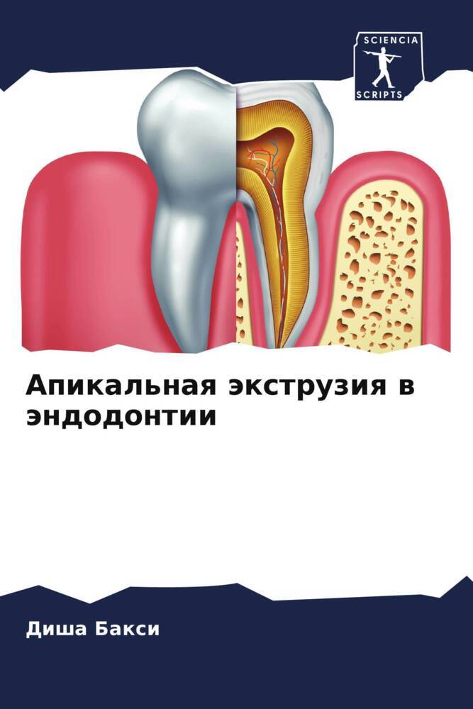 9786204677828