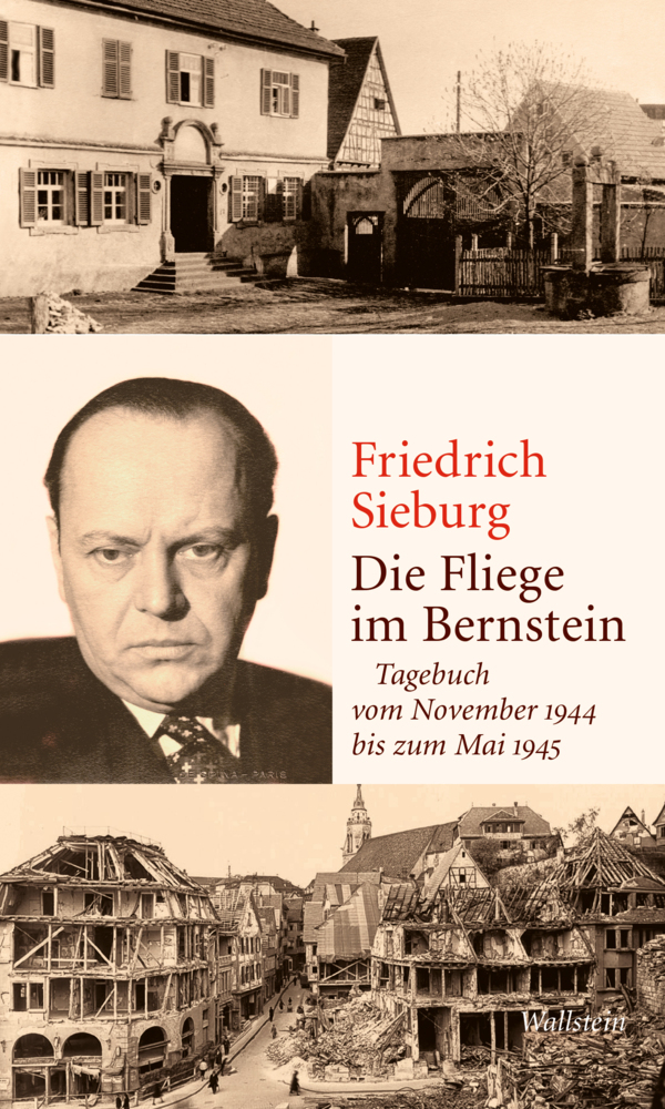 Die Fliege im Bernstein main product photo