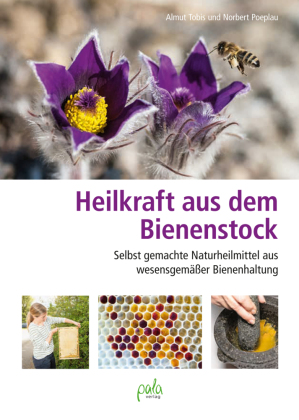 Heilkraft aus dem Bienenstock