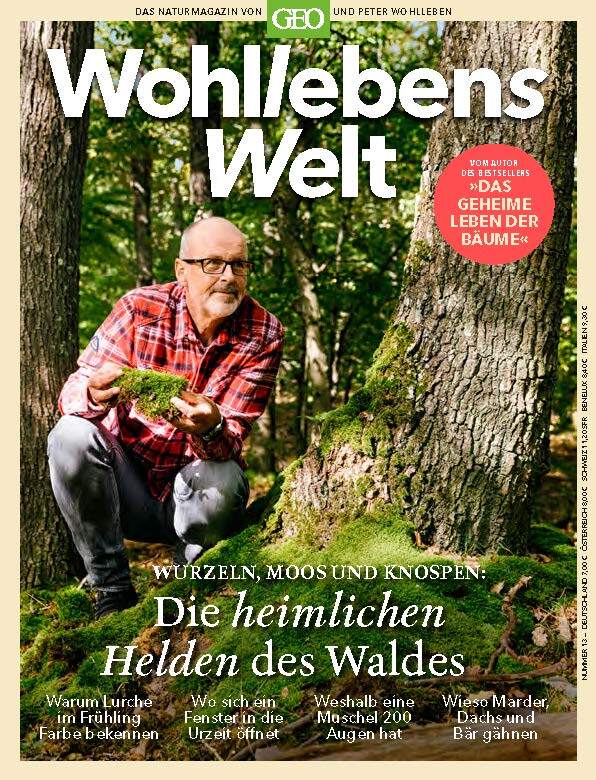 Wohllebens Welt / Wohllebens Welt 13/2022 - Die heimlichen Helden des Waldes main product photo
