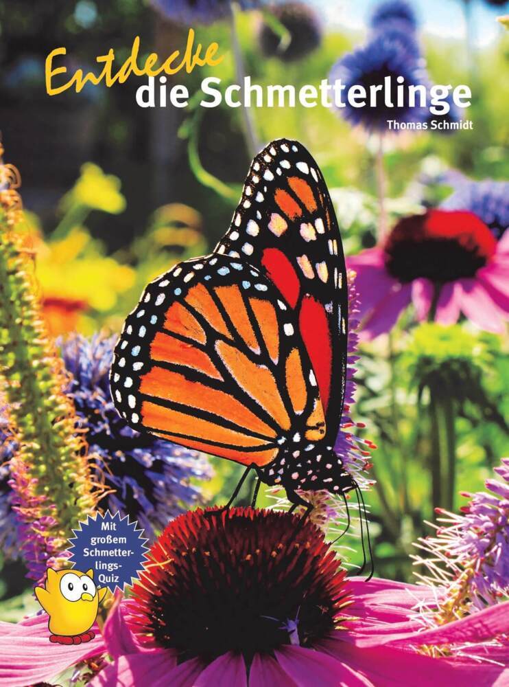 Entdecke die Schmetterlinge main product photo