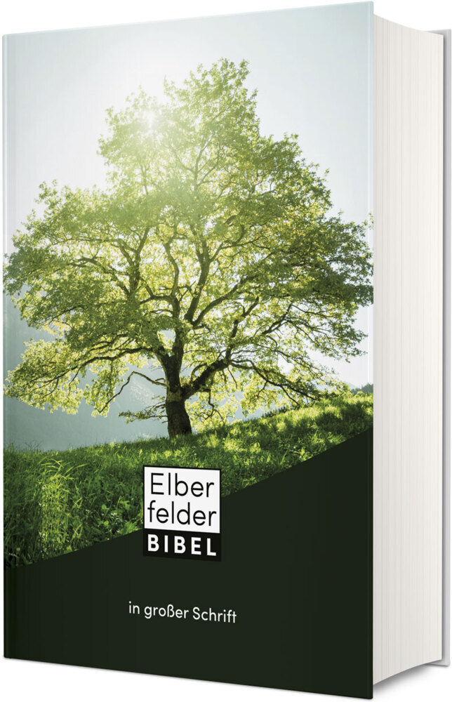 Elberfelder in großer Schrift Hardcover main product photo