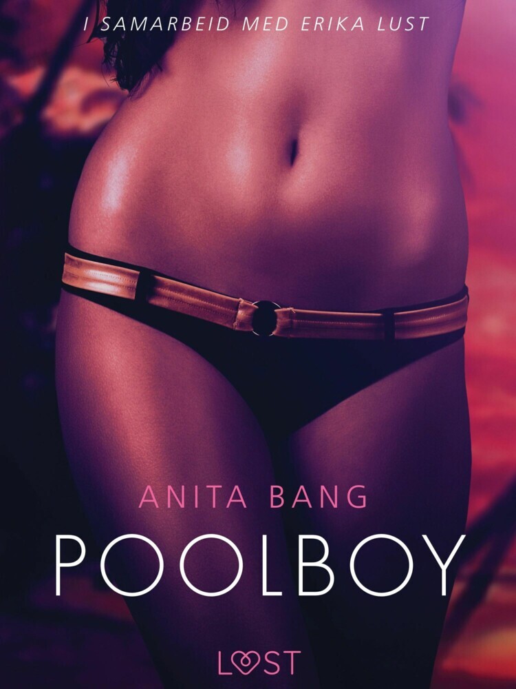 Poolboy - erotisk novelle main product photo