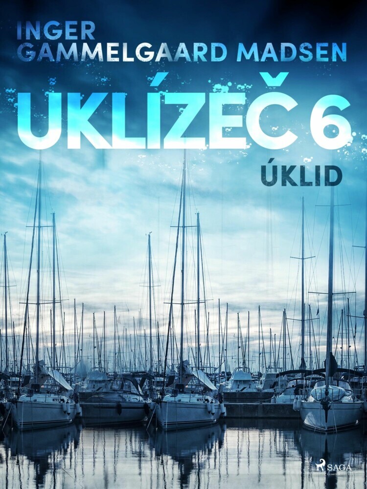 Uklíze? 6: Úklid main product photo
