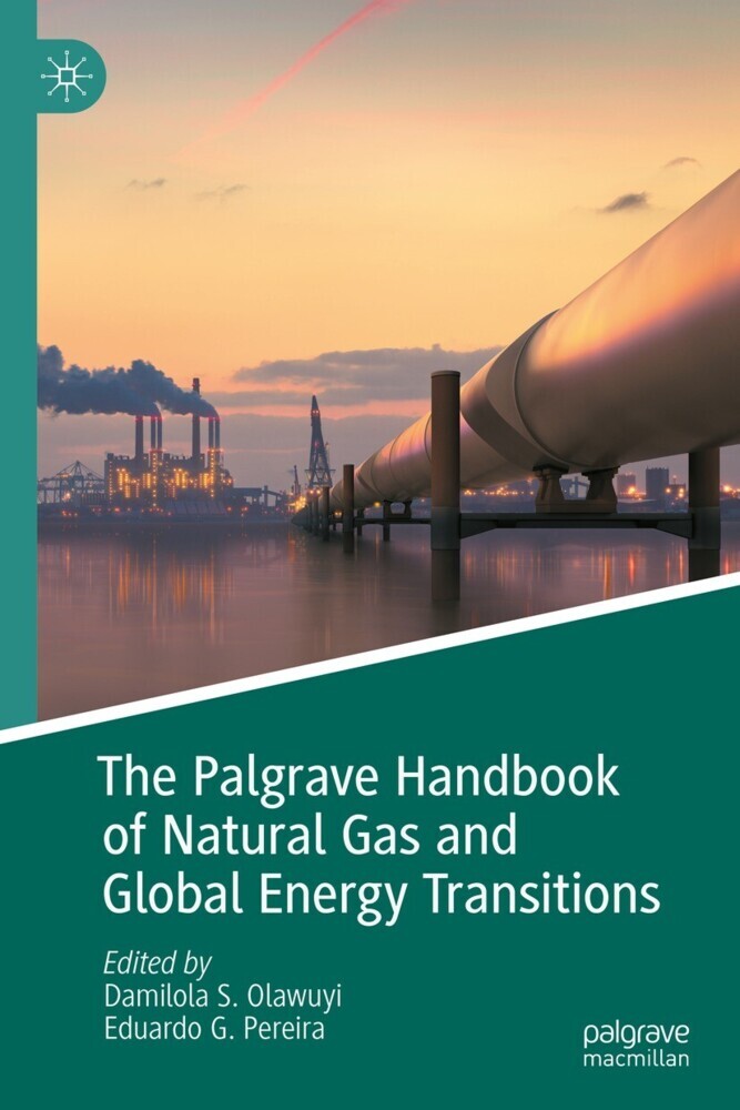 The Palgrave Handbook of Natural Gas and Global Energy Transitions main product photo