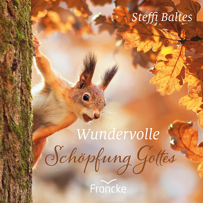 Wundervolle Schöpfung Gottes main product photo