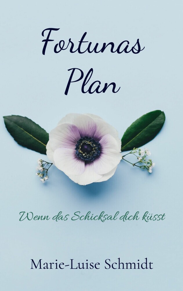 Fortunas Plan main product photo