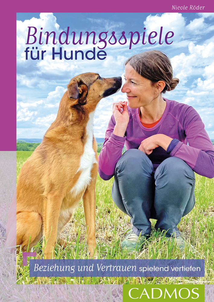 Bindungsspiele für Hunde main product photo