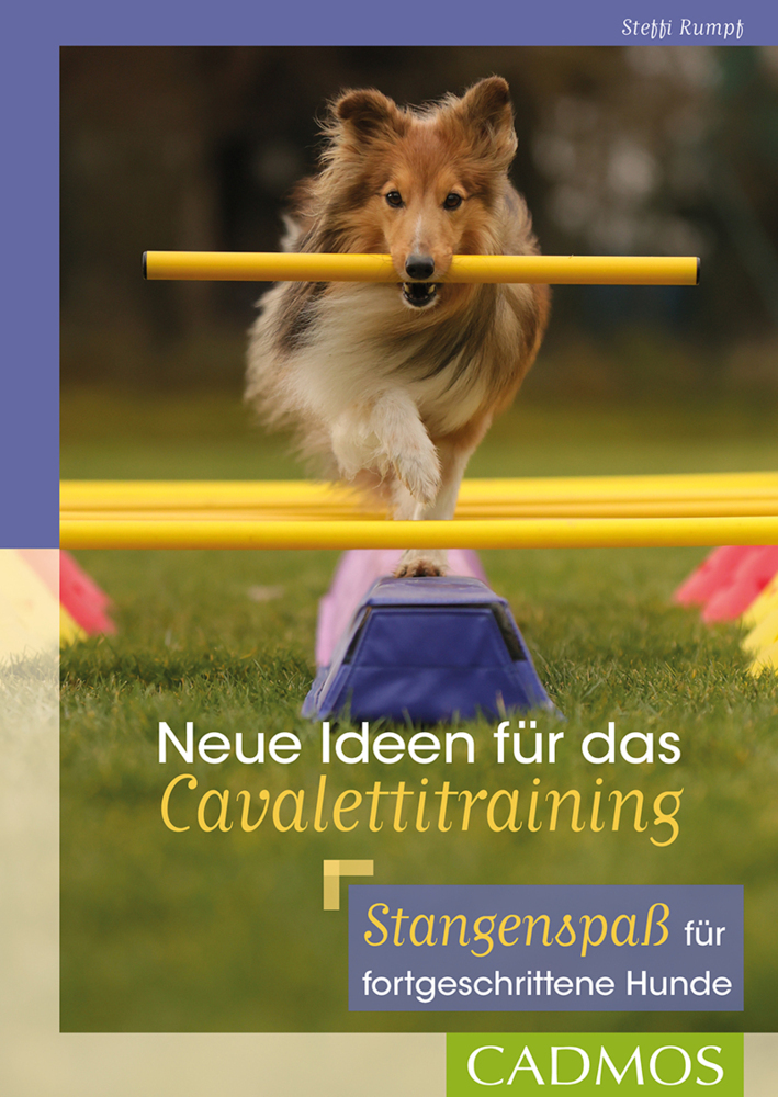 Neue Ideen für das Cavalettitraining main product photo