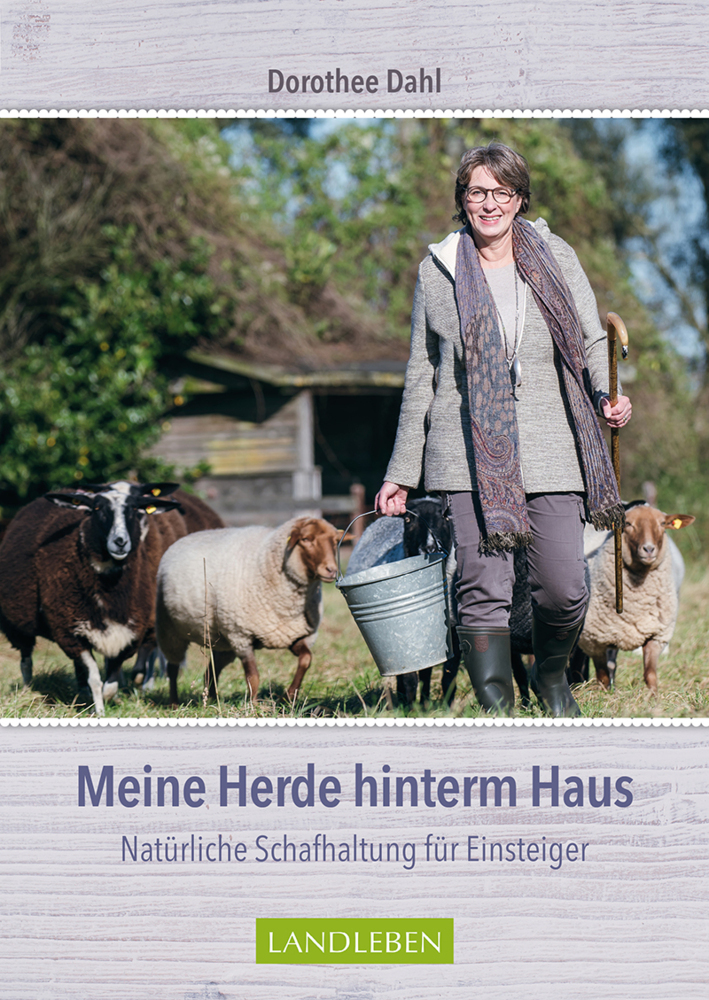 Meine Herde hinterm Haus main product photo