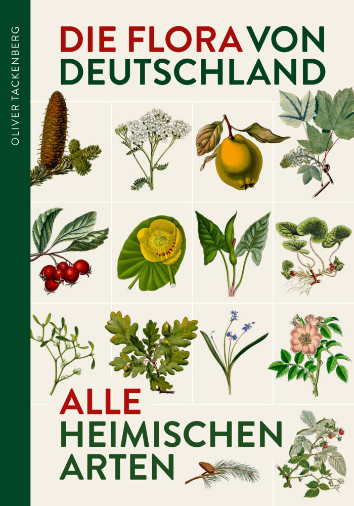 Die Flora von Deutschland. Alle heimischen Arten. main product photo