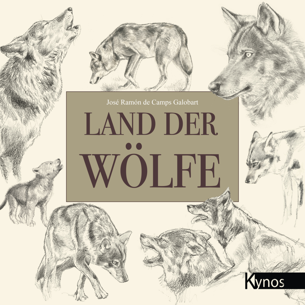 Land der Wölfe main product photo