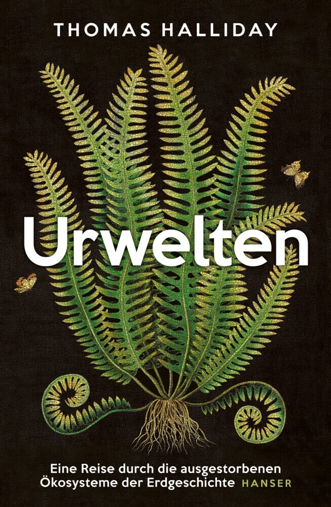 Urwelten main product photo