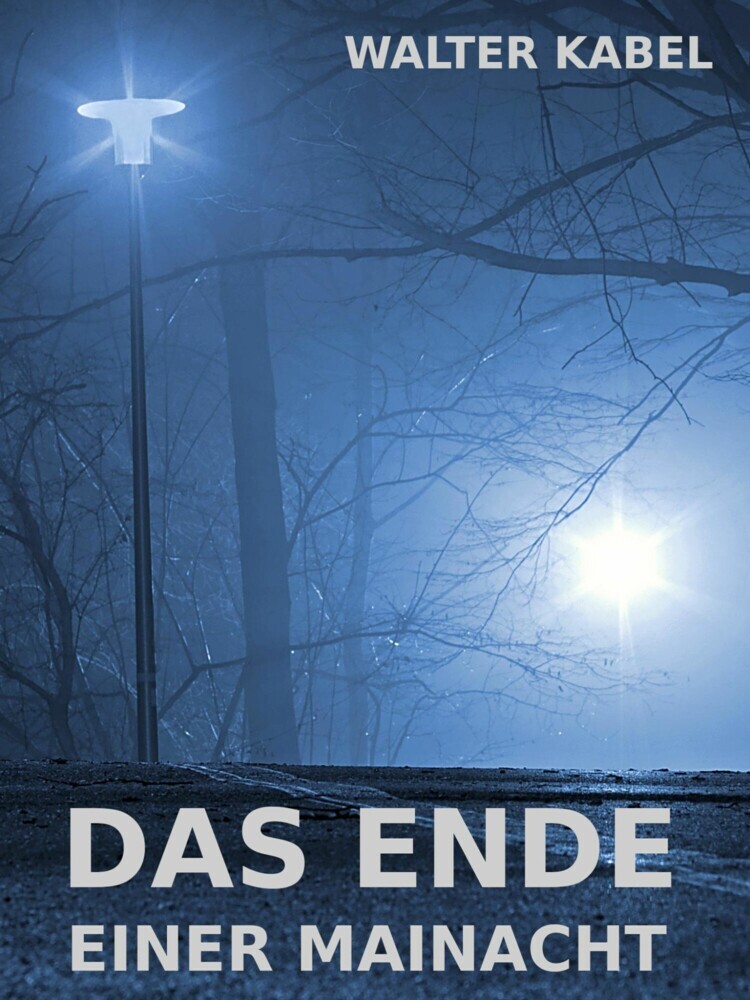 Das Ende einer Mainacht main product photo
