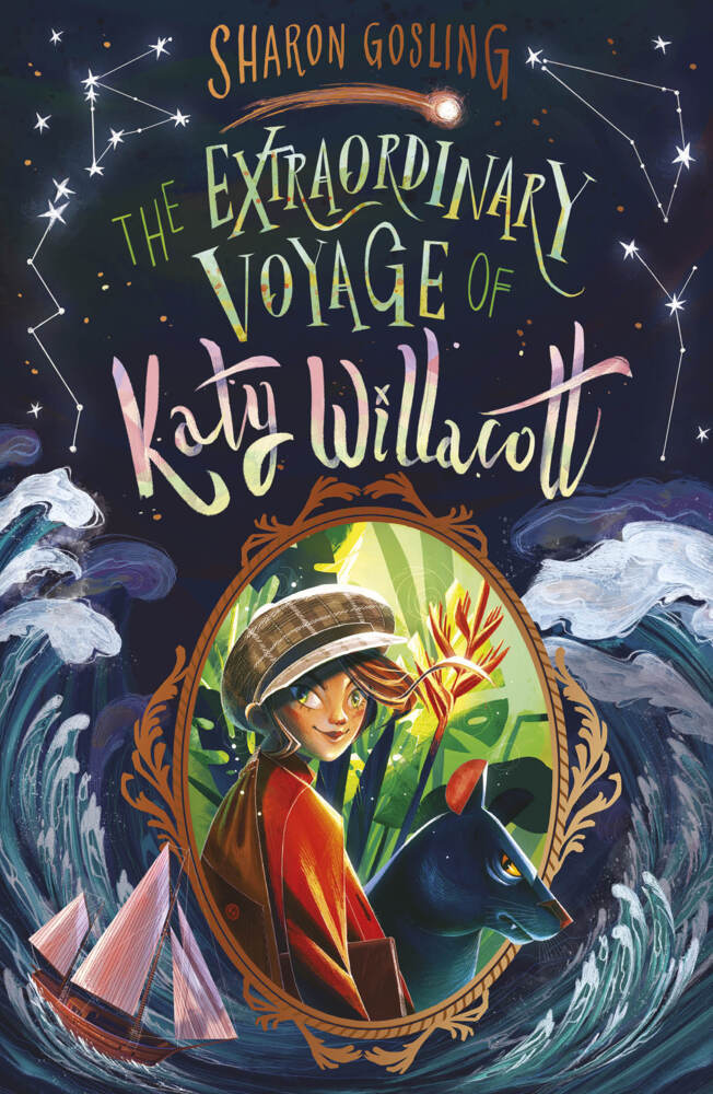 The Extraordinary Voyage of Katy Willacott main product photo