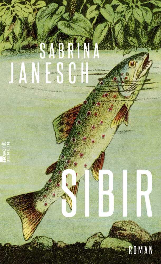 Sibir main product photo