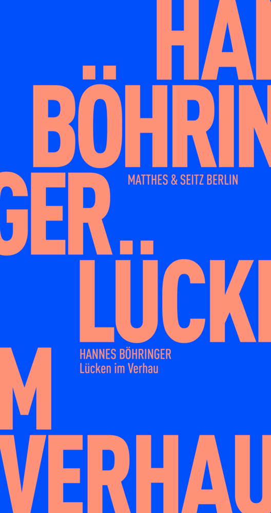 Lücken im Verhau main product photo