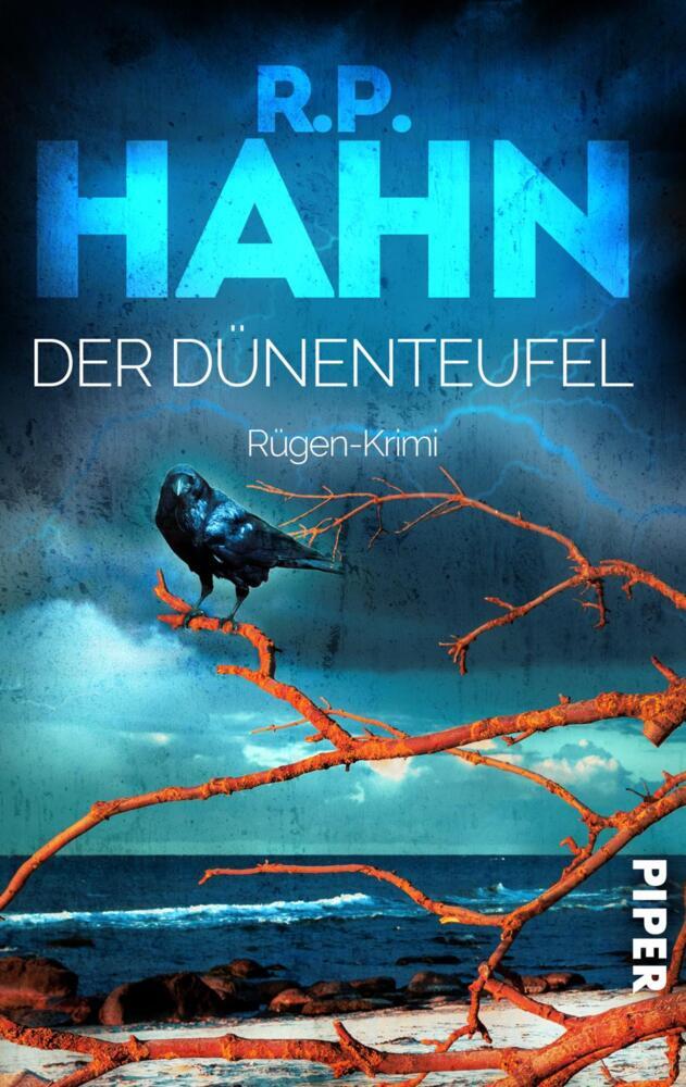 Der Dünenteufel main product photo