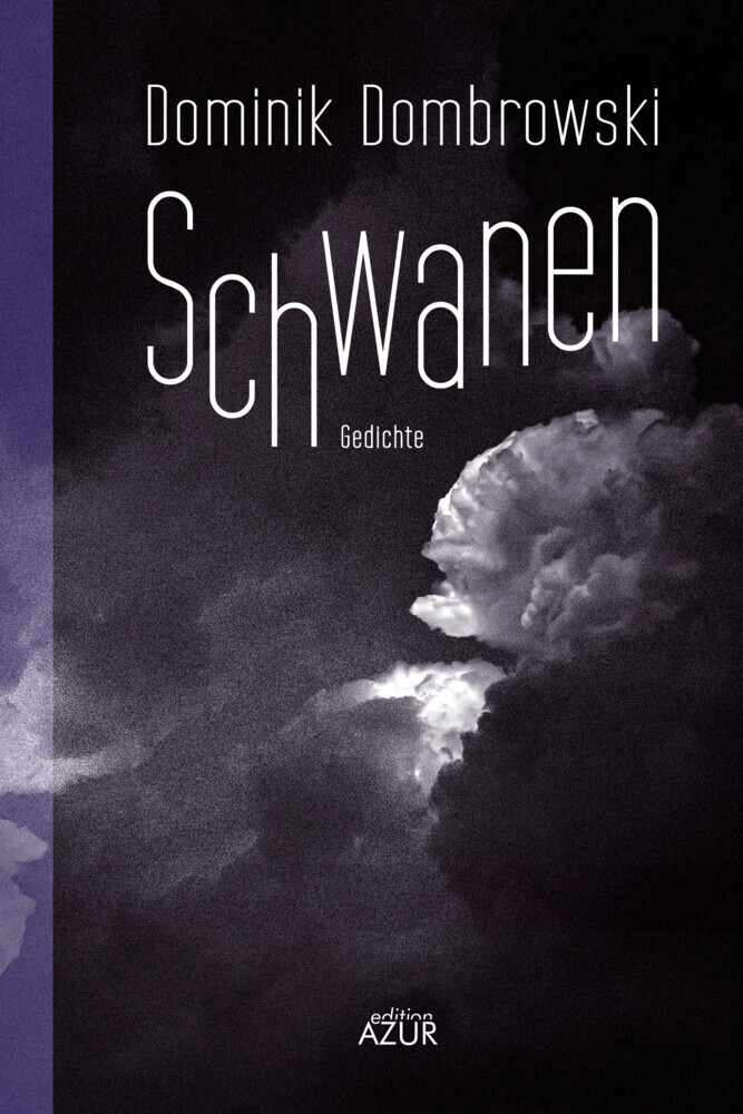 Schwanen. Gedichte main product photo