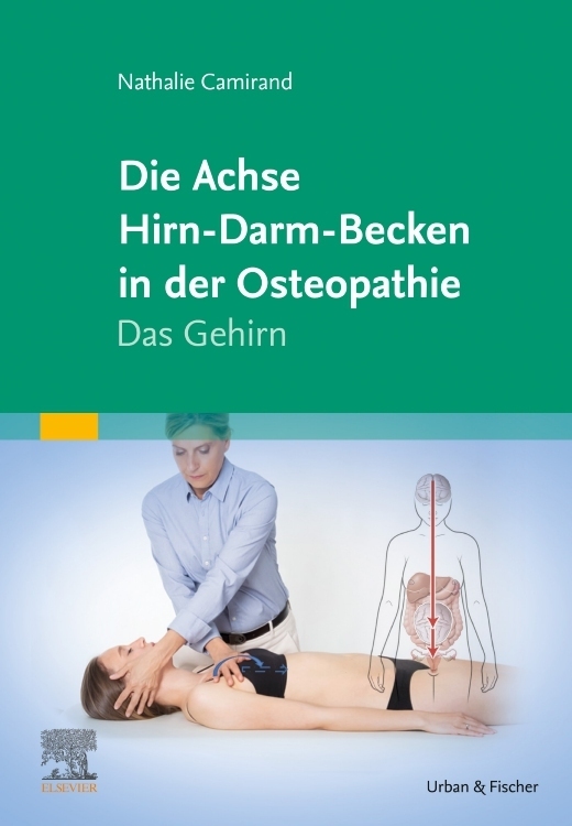 Die Achse Hirn-Darm-Becken in der Osteopathie main product photo