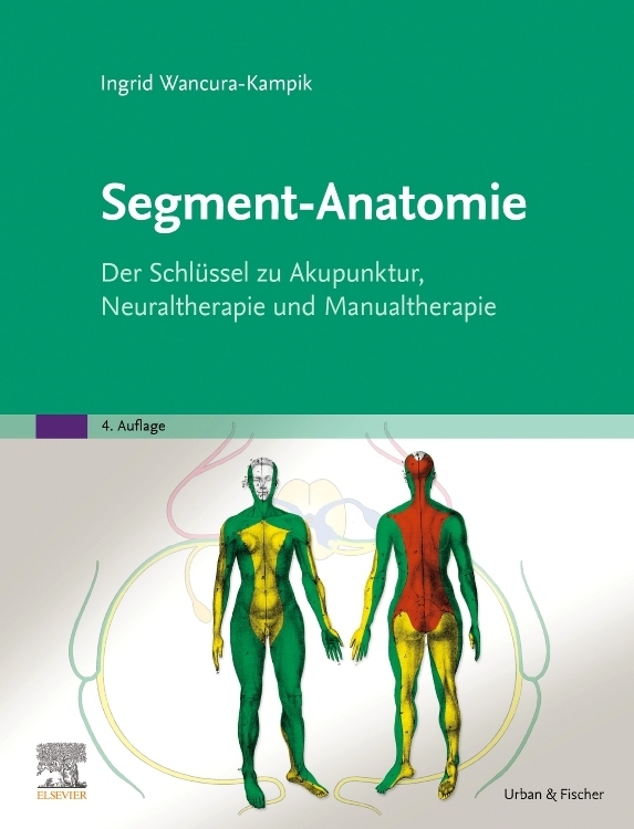 Segment-Anatomie main product photo