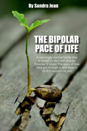 The Bipolar Pace of Life