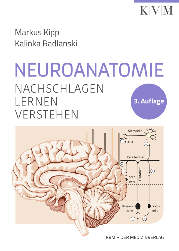 Neuroanatomie main product photo