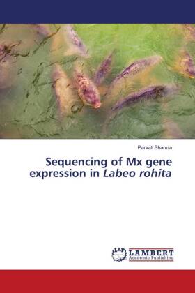 Sequencing of Mx gene expression in Labeo rohita