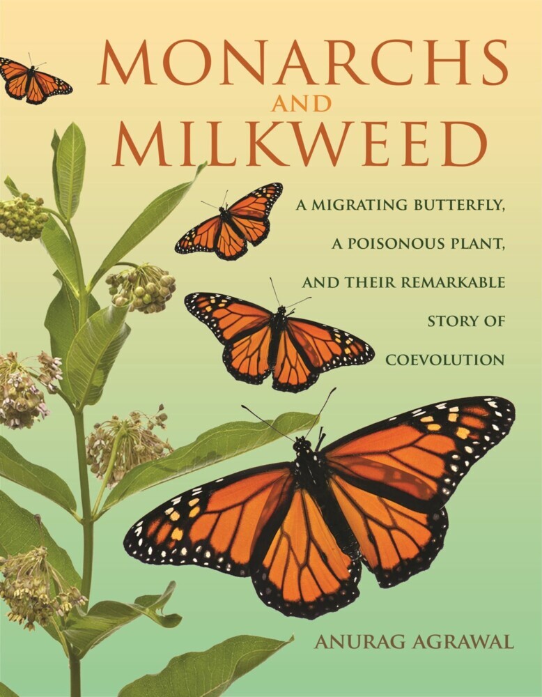 Monarchs and Milkweed main product photo