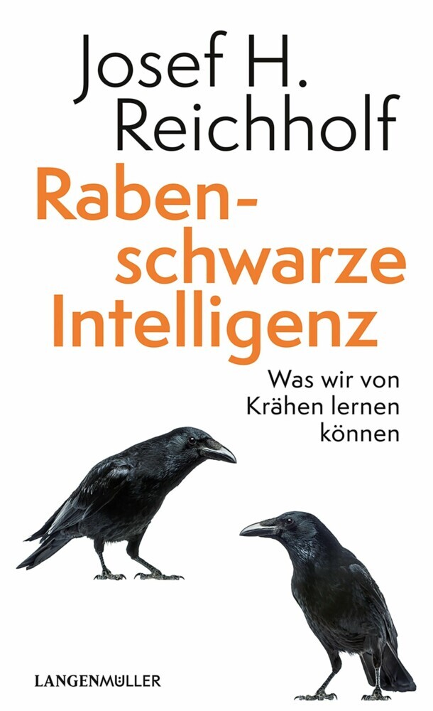 Rabenschwarze Intelligenz main product photo