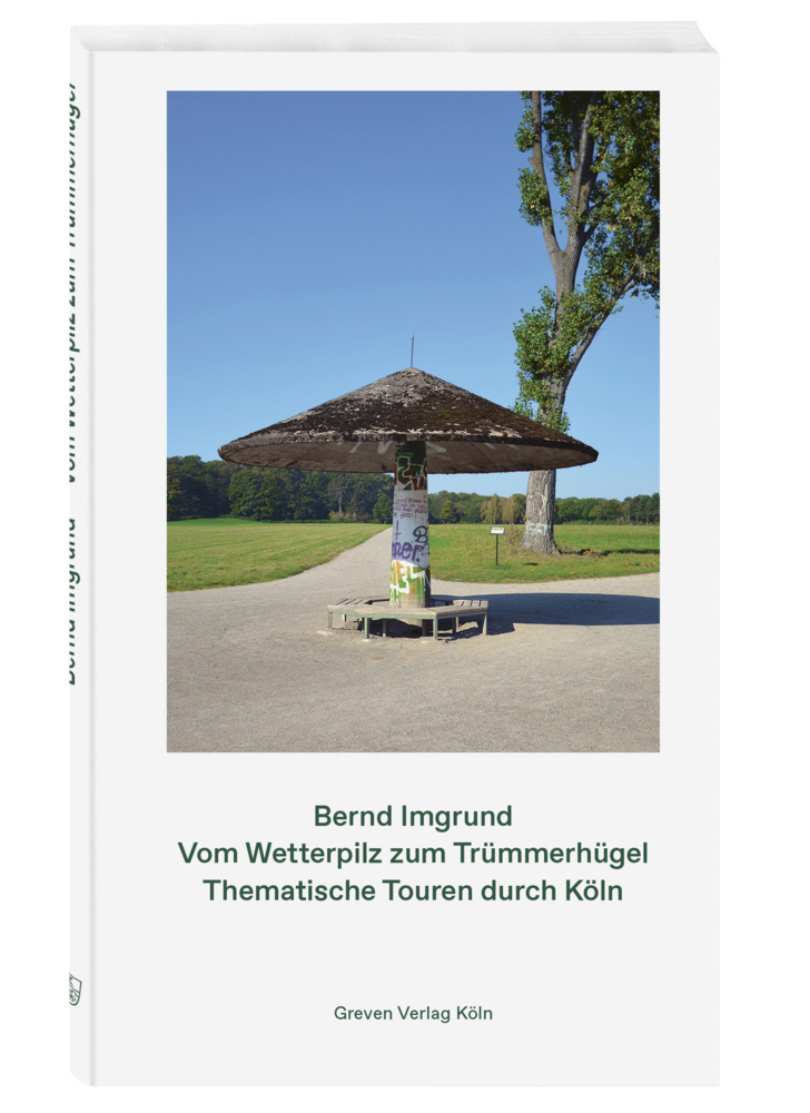 Vom Wetterpilz zum Trümmerhügel main product photo