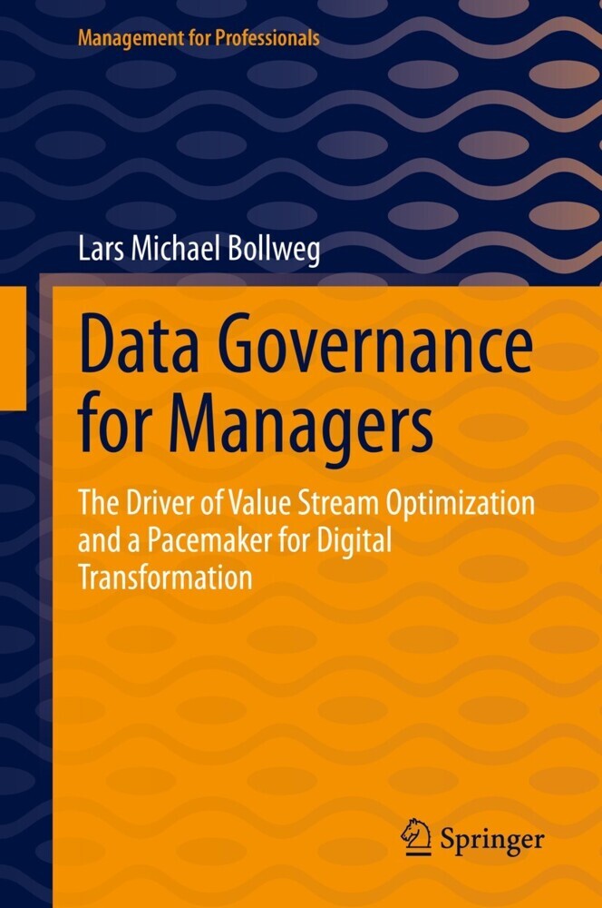 Data Governance for Managers main product photo