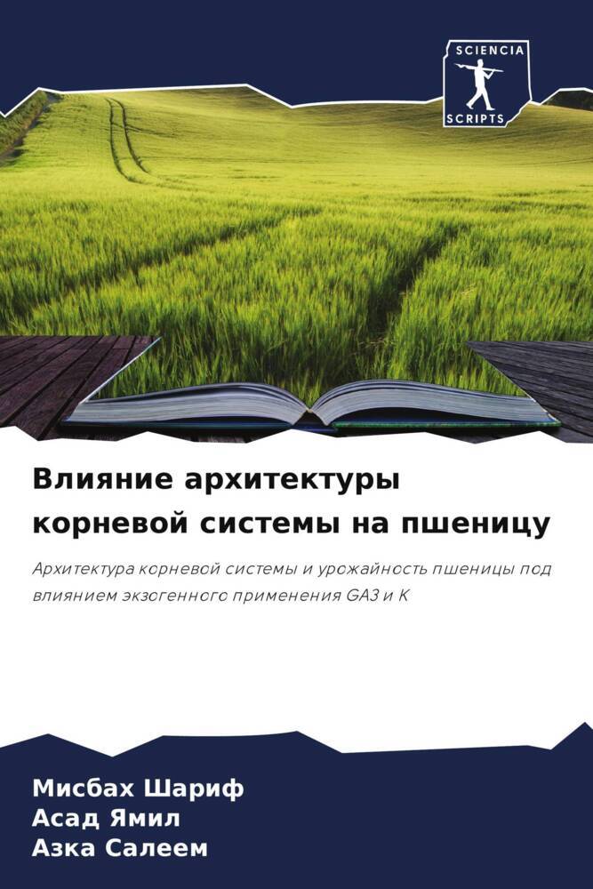 9786204760179
