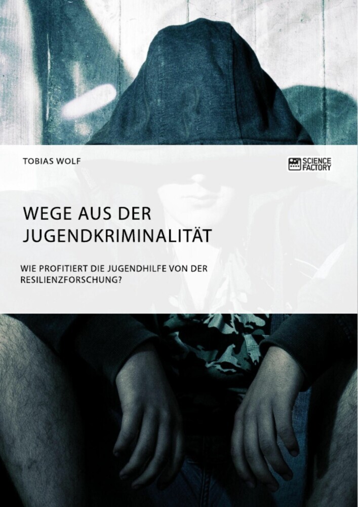 Wege aus der Jugendkriminalität. Wie profitiert die Jugendhilfe von der Resilienzforschung? main product photo