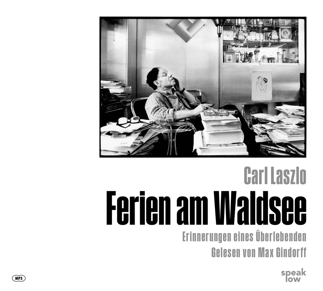 Ferien am Waldsee, Audio-CD, MP3 main product photo
