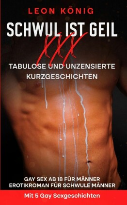 Schwul ist geil XXX - Tabulose Kurzgeschichten