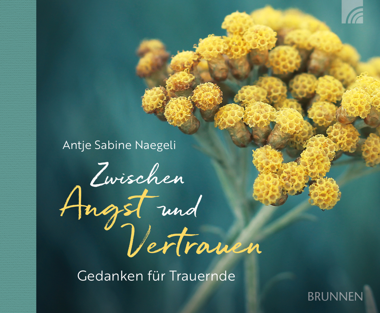 Zwischen Angst und Vertrauen main product photo