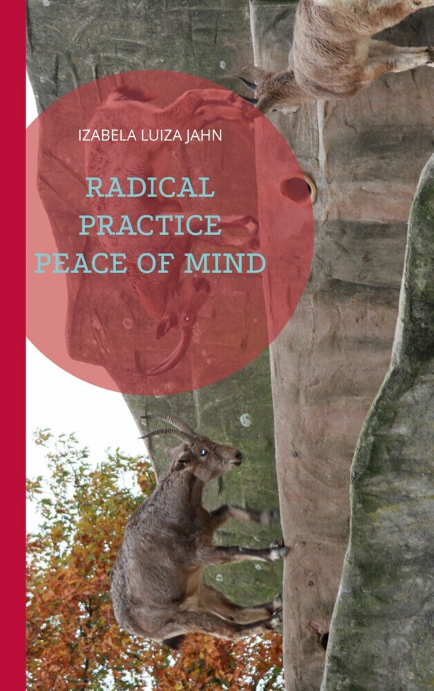 Radical Practice Peace of Mind main product photo