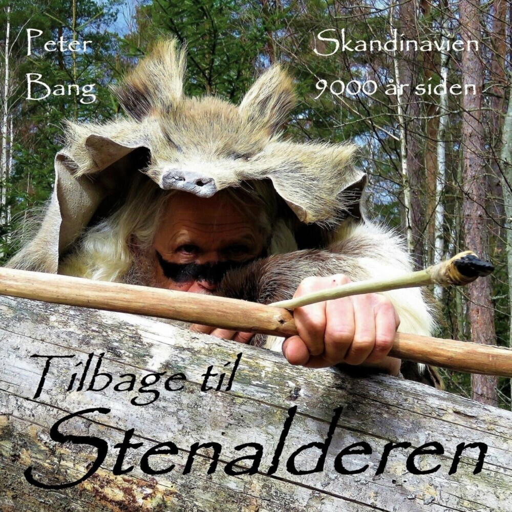 Tilbage til Stenalderen main product photo
