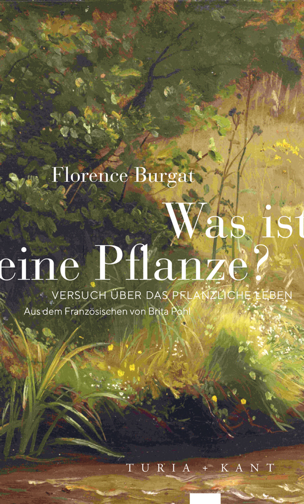Was ist eine Pflanze? main product photo