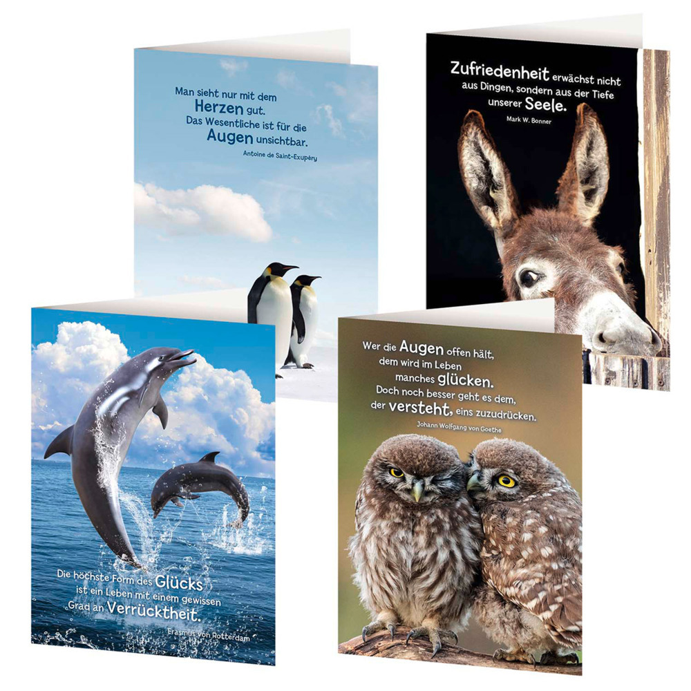 4er-Set Grußkarten »Tierische Weisheiten« main product photo