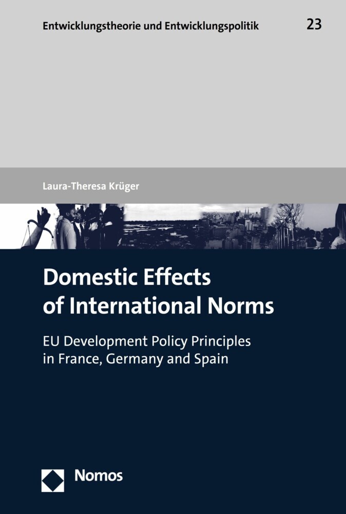 Domestic Effects of International Norms main product photo